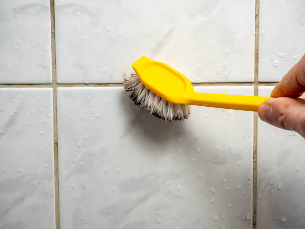 Best Commercial Mold Remediation in Brush Prairie, WA