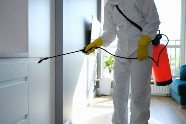 Best Health and Safety Mold Remediation in Brush Prairie, WA